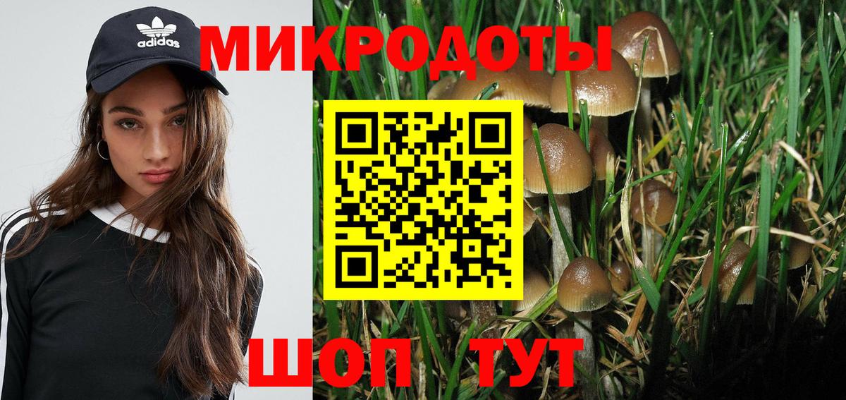 Псилоцибиновые грибы ЛСД  Вход с VPN  купить наркотики сайты  Партизанск 